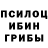 Галлюциногенные грибы Cubensis Tanja Enzmann