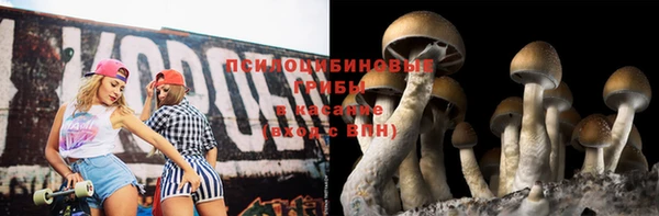 прущие грибы Зерноград