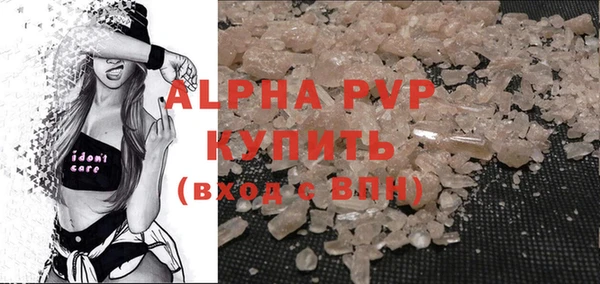 прущие грибы Зерноград