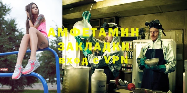 прущие грибы Зерноград