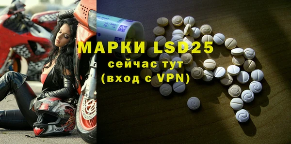 мяу мяу мука Инсар