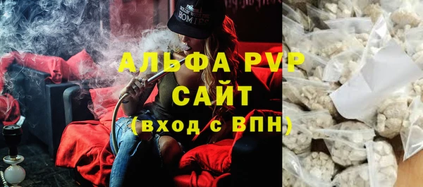 прущие грибы Зерноград