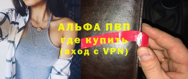 прущие грибы Зерноград