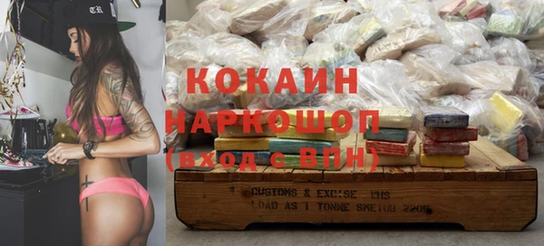 прущие грибы Зерноград
