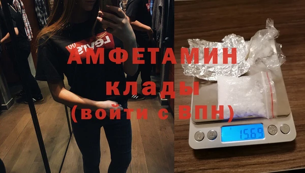 прущие грибы Зерноград