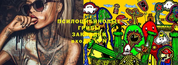 прущие грибы Зерноград
