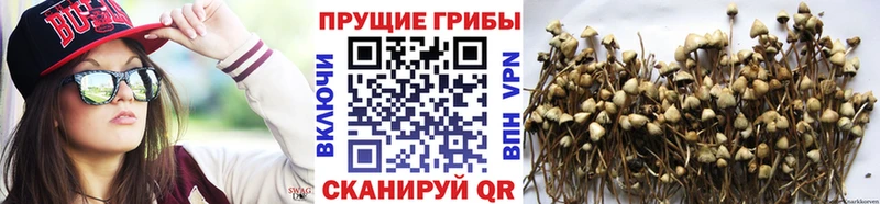 купить закладку  Кремёнки  Псилоцибиновые грибы ЛСД 
