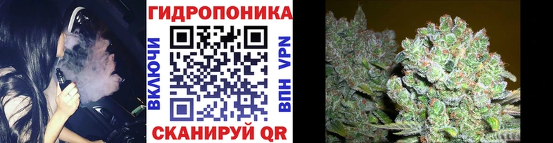 что такое   Кремёнки  Каннабис SATIVA & INDICA 